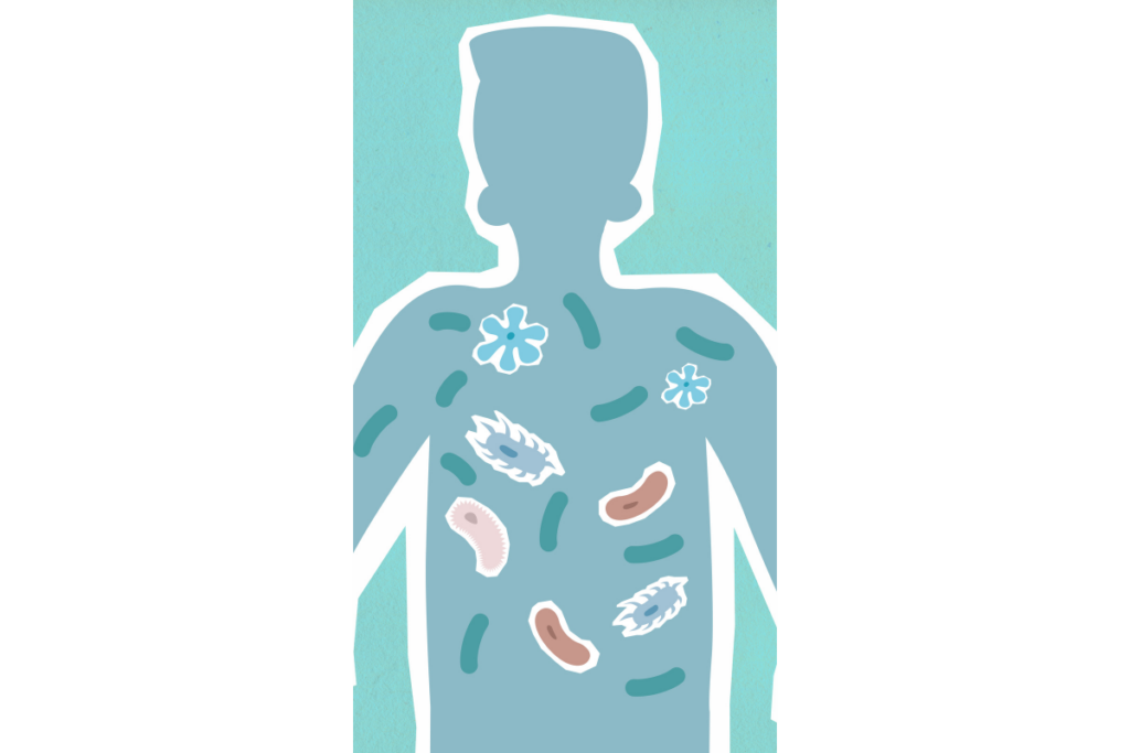 Orthomolecualire therapie behandelingen aanbod Den Haag Zuid Holland